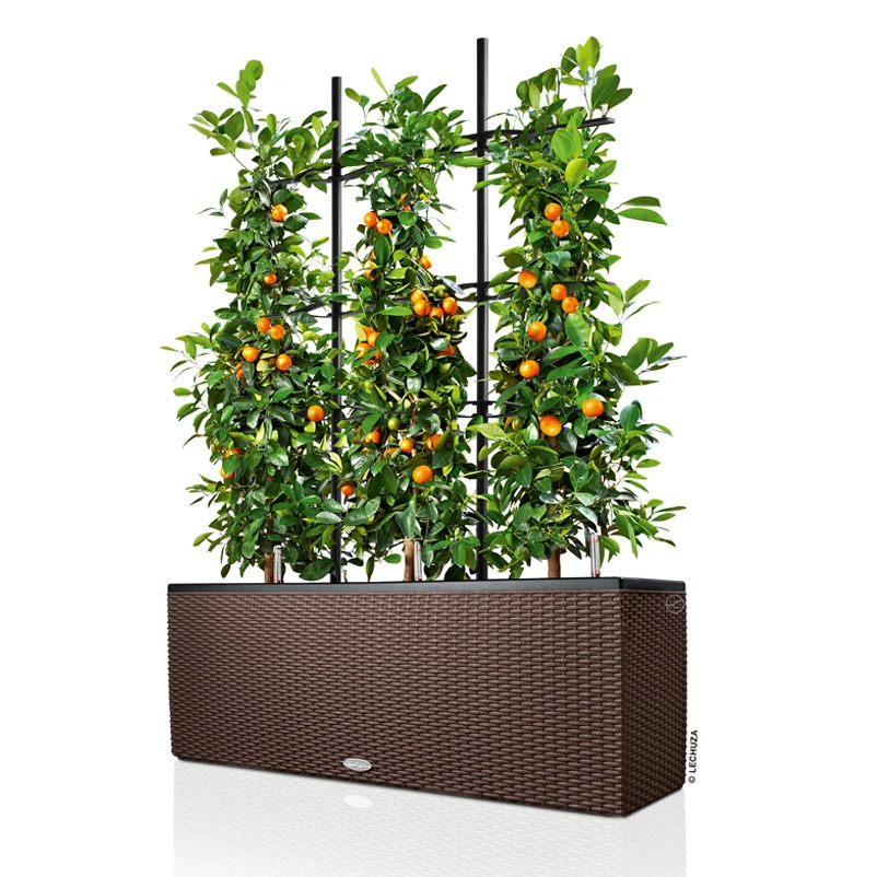 Lechuza Trio Cottage 30, Mokka, All-in-One-Set – Bild 2